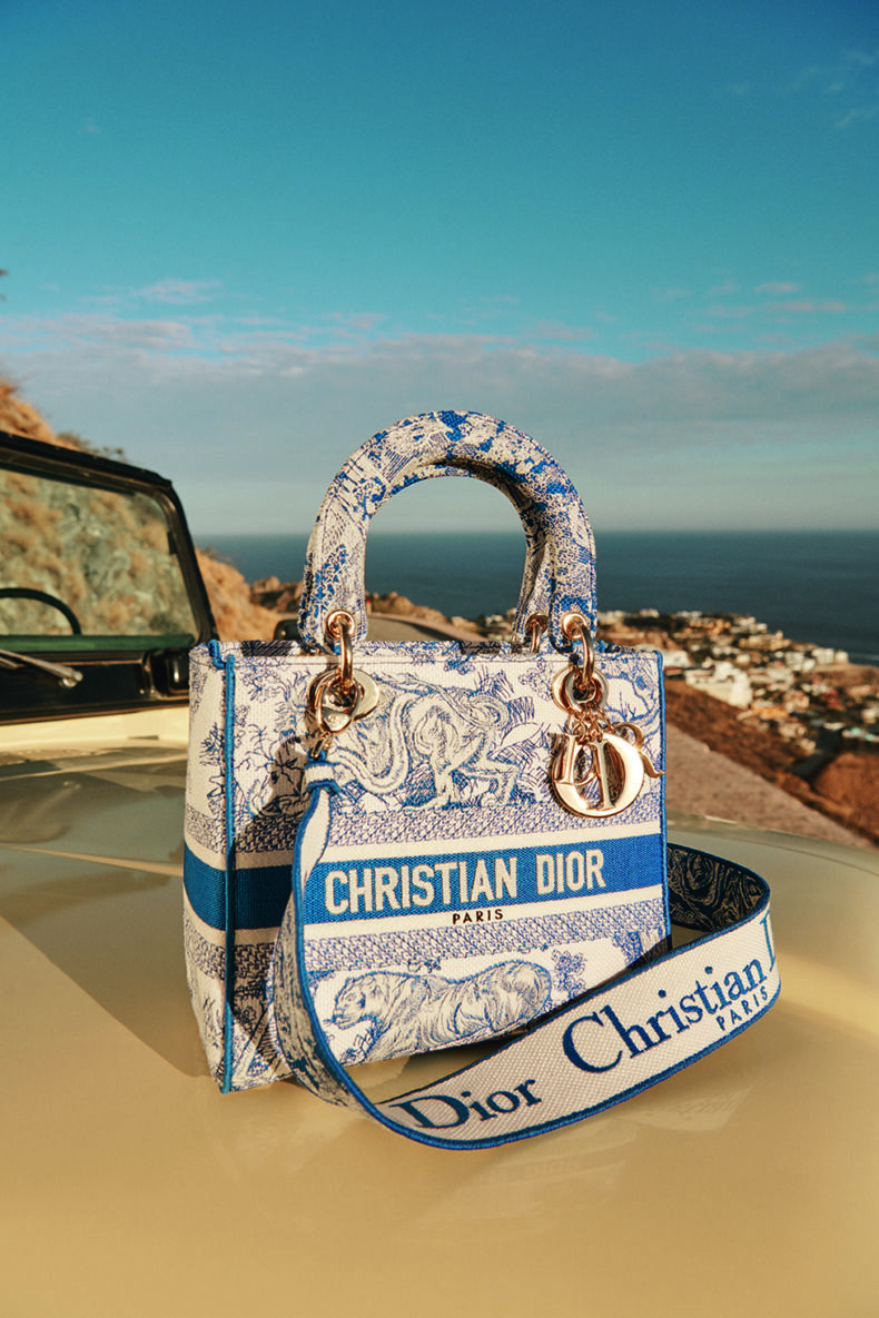 Christian Dior Bayadere Stripe Book Tote